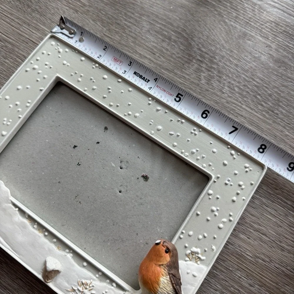 Hallmark Nature's Sketchbook Robin Bird Winter Photo Picture Frame 4x6 Resin Art